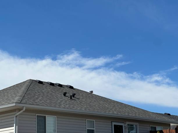 Best Sheet Metal Roofing  in Lake Delton, WI